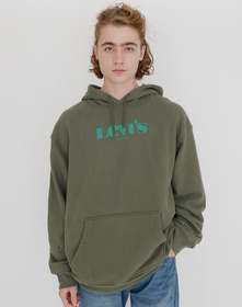 RELAXED GRAPHIC PO MV SSNL CORE HOODIE THYME