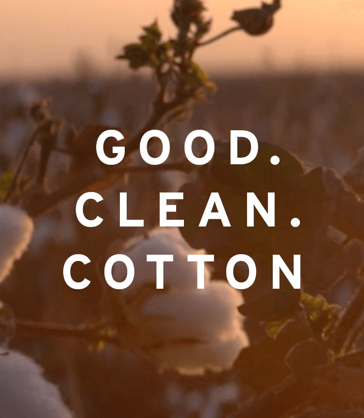 sustainability Cotton